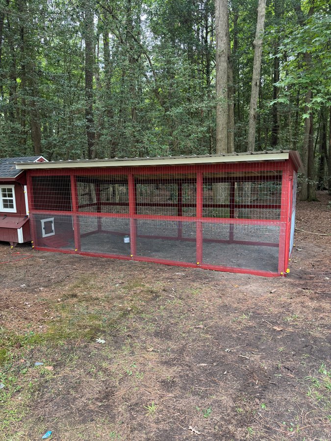 Red wood framed outdoor enclosure with mesh panels in a wooded yard